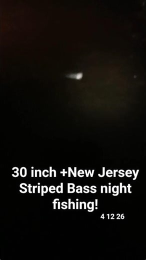New jersey Striped Bass night fishing! 4 12 26 safely released