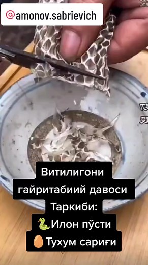 Snake Skin Preparation and Cooking Techniques