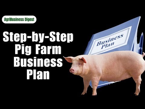 How to Write a Winning & Low Budget Pig Farm Business Plan