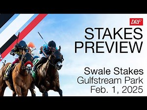 Swale Stakes Preview | February 1, 2025