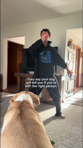 I Think He’s the One: Dog Meets Best Friend