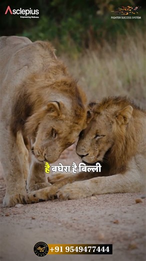 💼 Hard Work Easy Money | SOS 2025 | Dsr7 | AWPL Business | Success Mindset 🔥