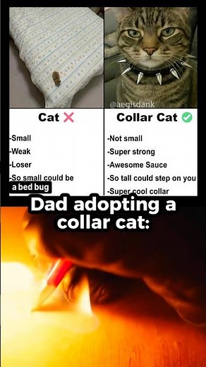 funny reaction memes