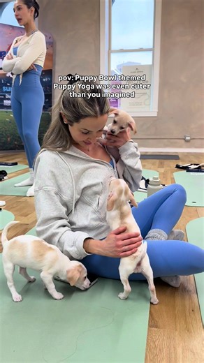 Who else is ready for the most wholesome sporting event of the year? 🐾🏈 We had the BEST time with these adorable pups at our Puppy Bowl-themed Puppy Yoga series in NYC, Chicago, and DC. The energy, the cuddles, the pure chaos—it was everything we hoped for and more! #PuppyBowl airs tomorrow, February 8th at 2pm ET | 11 AM PT on @Animal Planet! Don’t forget to tune in to see more adoptable pups compete for the championship! 🐾