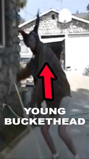 Young Buckethead Sweeps 😳 #guitar #music #buckethead #shorts #unmasked #gunsnroses #slick #smooth