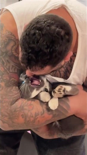 Angriest and Cutest Cats in the World – Funny Angry Cat Moments, Grumpy Cat Reactions & Cute Cat