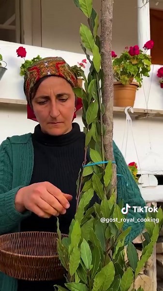 Discover Authentic Village Cooking in America