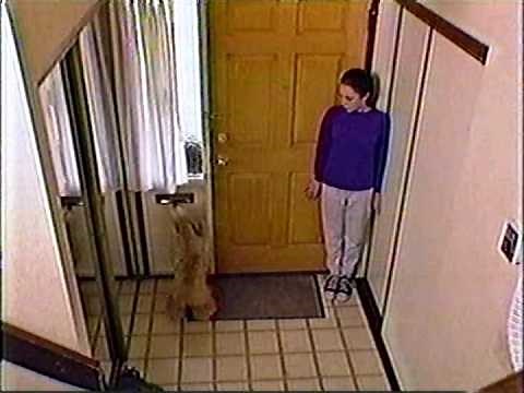 Rescue 911 - Teen hides from intruders