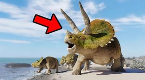 3.4K views · 97 reactions | 13 Fascinating Triceratops Facts You Need to Know | Monkey Adoo | Facebook