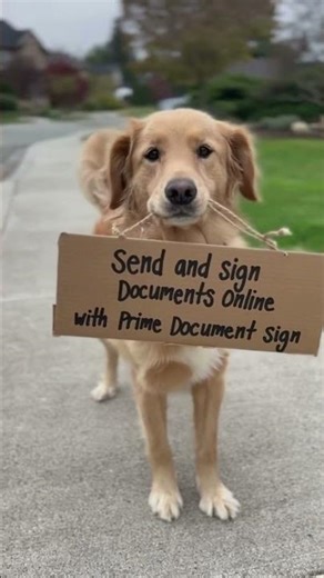 Docusign Alternative