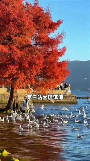 Unveil the Top 10 Must-Visit Spots in Yunnan