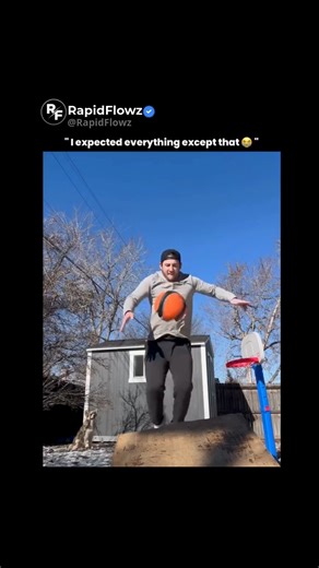 @rapidflowz on Instagram: "This seemingly playful backyard moment actually demonstrates a mix of animal instincts, human reaction time, and basic physics. Dogs—especially high-energy breeds—are naturally drawn to fast-moving or airborne objects because their prey drive responds to motion rather than accuracy, which is why the dog focuses on the ball instead of the hoop. Unlike humans, dogs don’t calculate trajectory or height—they jump based on visual tracking and timing, often underestimating d
