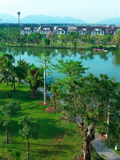 Central Island: Đẳng Cấp Riêng Tư Giữa Eco Central Park