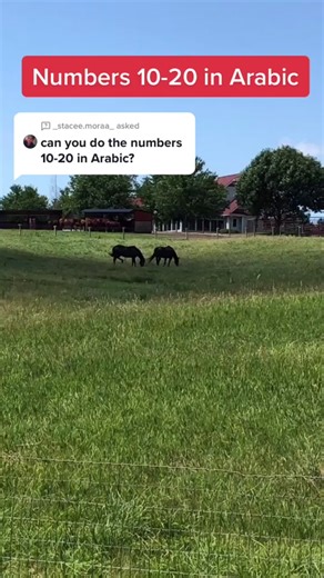 Learn Arabic Numbers 10-20: Written Form and Pronunciation