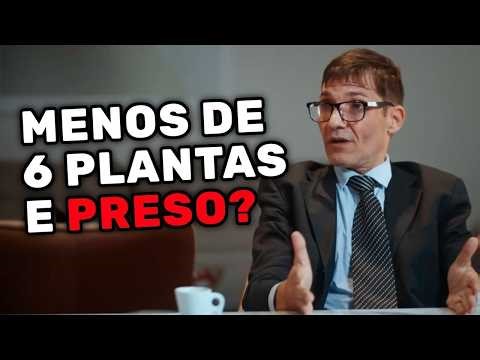 A CENA ESCOLHEU O CAMINHO ERRADO?