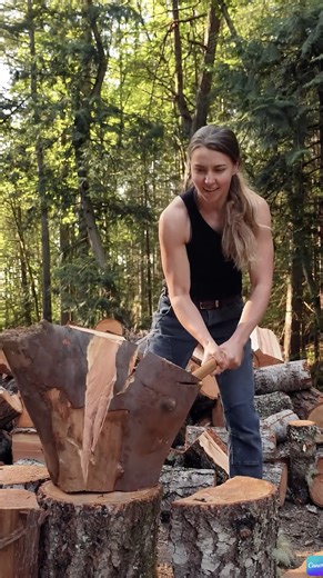 Tough cookie to crack: Axe blows meet stubborn wood