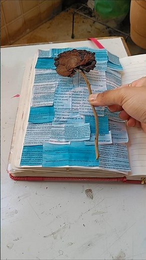 Journal with me ❤️🌹 #shortvideo #diy #journal #journaling #junkjournal #rose #roseday #journallove
