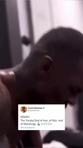 Israel Adesanya vs Alex Pereira Fight at UFC 281 - Pulse Sports Nigeria