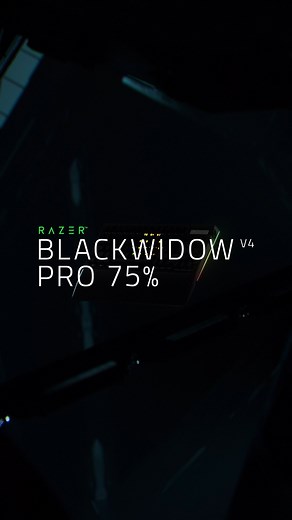 RΛZΞR on Instagram: "Be in full command of your battlestation with the Razer BlackWidow V4 Pro 75%. The all-new OLED Display and Razer Command Dial offer real-time system updates and let you customize controls to your preference. Adjust volume, change songs, navigate apps, and more with enhanced convenience right at your fingertips. Available starting September 24. Preorder now via the link in bio."