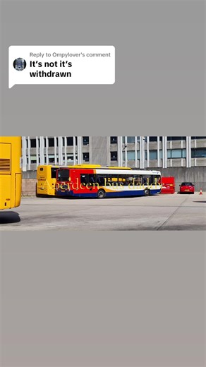 Aberdeen Bus Daddy on TikTok