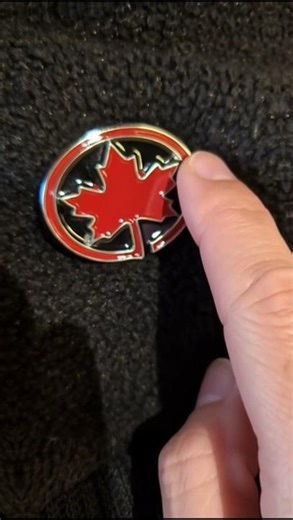 Fujiikaze's new scene #fujiikaze #swingtop #musicanddance #musicanddance