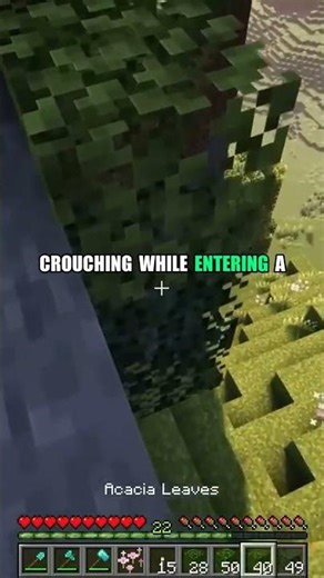 Secret Minecraft Glitch 2025 🐛 #shorts