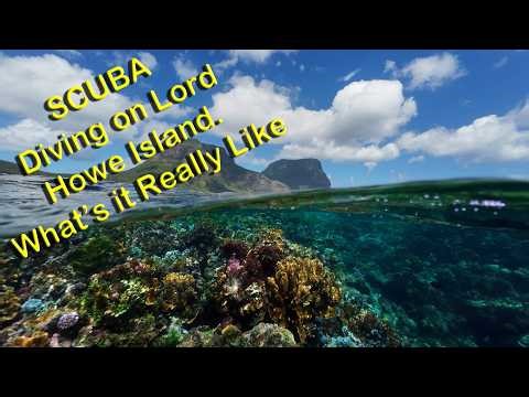 Scuba Diving on Lord Howe Island - What It's Really Like - 4K
