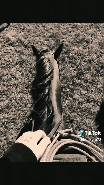 Becky Kaiser (@beckyjp78)’s videos with original sound - Ryan Miller