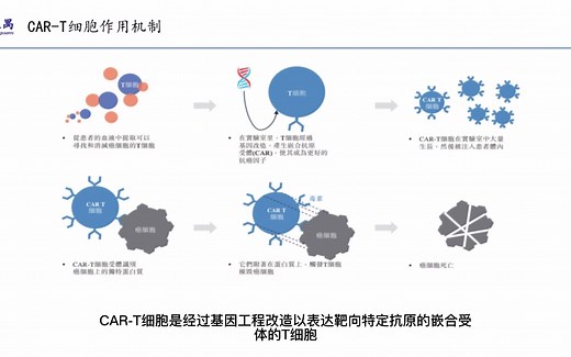 CAR-T治疗之一：概念