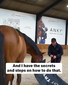 19 reactions | TRT method is designed to teach horses to be confident...