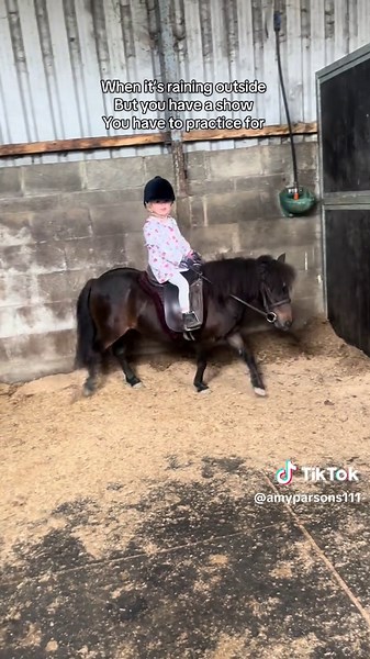 Indoor Pony School: Practice on Rainy Days