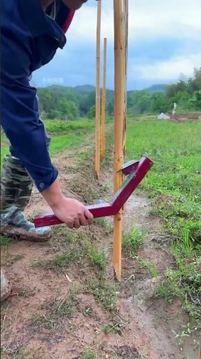 The Smartest Way to Drive Garden Stakes Without a Hammer! 🪵🚀 #shorts