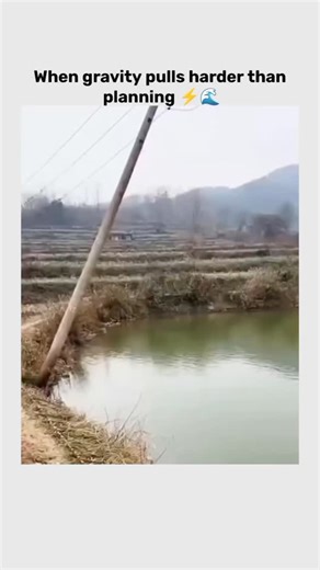 ClipzyyX | Facts on Instagram: "This 13-second clip is a fascinating display of modern engineering and creative problem-solving. It showcases a specialized machine that makes a complex industrial task look like child's play through pure precision and automation. Watching the mechanical components work in perfect harmony to deliver a flawless result is incredibly satisfying and highlights how technology is reshaping traditional labor. The reason this video is exploding across social media is its 