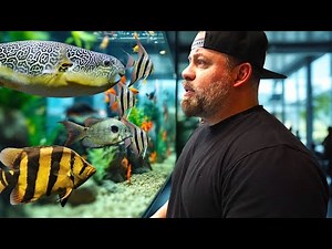 “Walking Through a FISH Store FULL of TROPICAL FISH! (Educational Tour)”