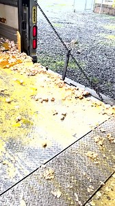 64K views · 348 reactions | Most costly mistakes ever  | FailArmy | Facebook