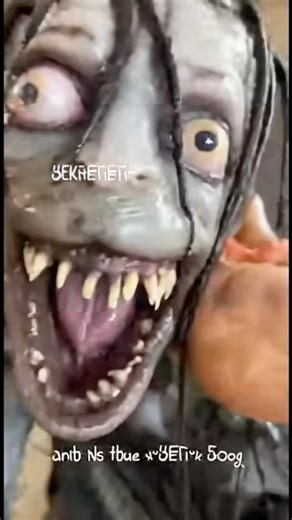 My Dog Brought a Swamp Hag Into the Living Room and I Am NOT Happy #dog #shorts