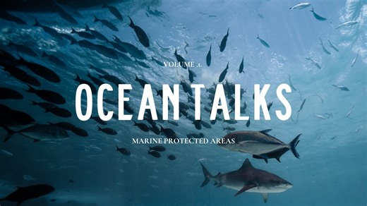 12 reactions |  Ocean Talks: Session 1 - Marine Protected Areas!...