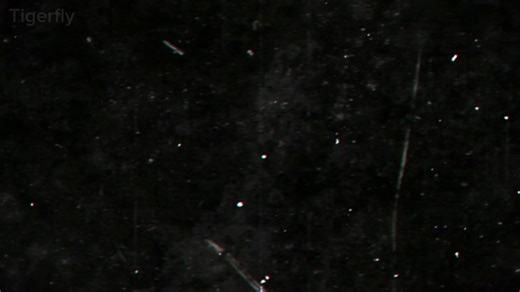 JJK Manga Spoilers//Capcut crashed 50 times doing this 😭 #jjk #megumifushiguro #mangaanimation #loopingtherooms #loopingtheroomstrend #manga #jjkedit #animated #megumi