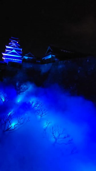 TikTokでれいセルさんをチェック！