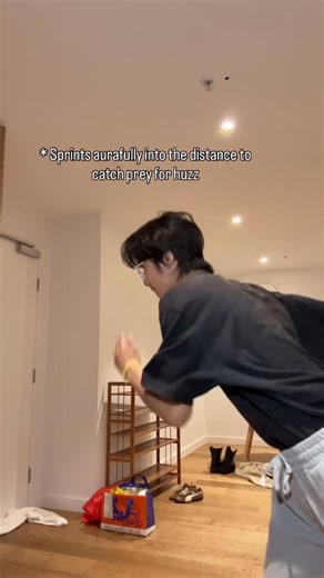 Edward Xu on Instagram: "When the Wolf Pack leader acknowledges your existence #reels _ #reels #fyp #trending #aesthetic #reelstrending #trend #auckland #gym #funny"