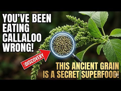 Stop Pulling This "Weed"! The Secret Superfood in Your Backyard (Wild Callaloo) 🌿