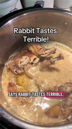 Slow-Cooked Rabbit with Rich Gravy over Rice