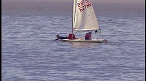 Baby Einstein - On The Go: Riding, Sailing and Soaring (2005 DVD) (French Version)