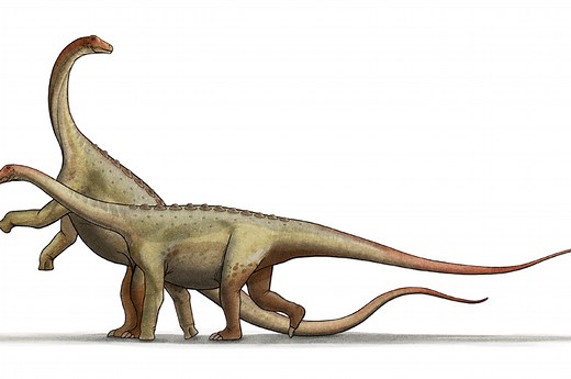 8 Dinosaurus Terbesar di Dunia, Siapa yang Paling Layak Dijuluki 'Titanosaurus Asli' | National Geographic