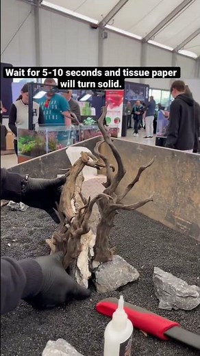 How to glue driftwood to a rock and create beautiful aquascape design