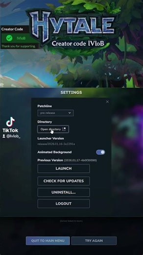 Hytale Server failed to Boot #hytale #hytalegame