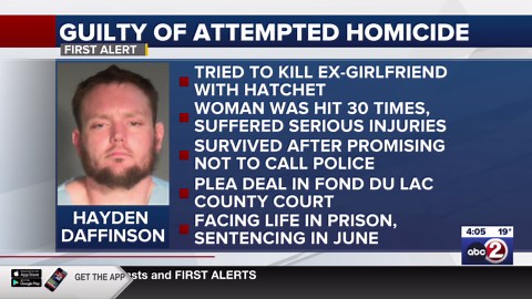 Ripon man pleads guilty to attempted homicide in hatchet attack on ex-girlfriend