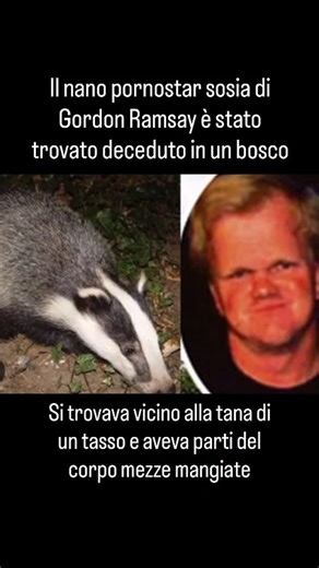 1001 Modi Per Morire☠️ on Instagram: "Percy Foster, affetto da nanismo, pornostar e sosia di Gordon Ramsay è stato ritrovato deceduto in un bosco. Si suppone che un tasso lo abbia aggredito."