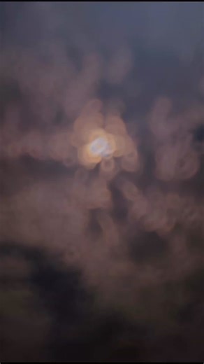 Brad flow (@bradfloww)’s videos with Danger Line A7X - 𝗖𝗿𝗼𝗰𝗼𝗯𝗮𝗯𝘆