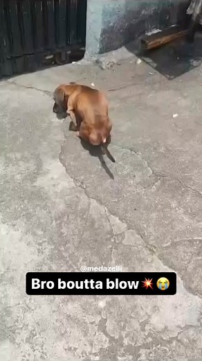 A Day in My Life Without My Patek: Vlog Compilation Part 132